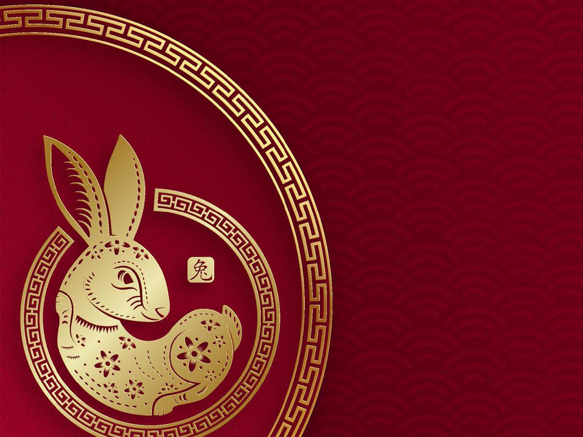 Hop to it: Investing lessons in the Year of the Rabbit